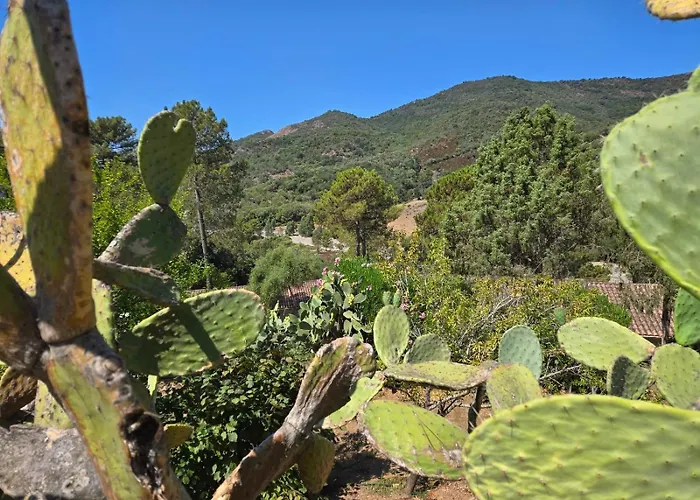 Domaine De L'oriu