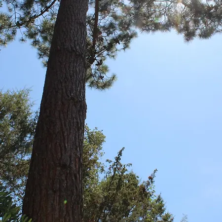 Domaine De L'oriu Hotel 3*