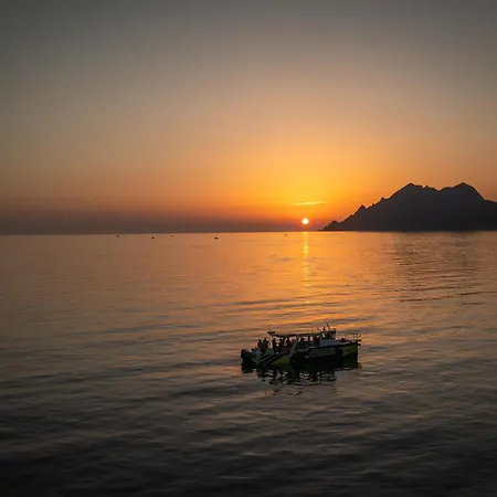 Hotel Domaine De L'oriu 3*