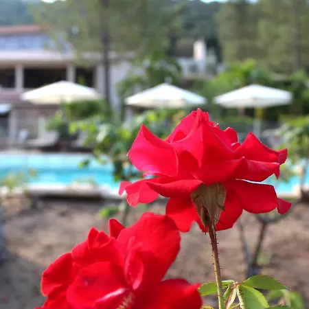 Hotel Domaine De L'oriu