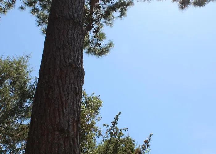 Domaine De L'oriu Hotel 3*