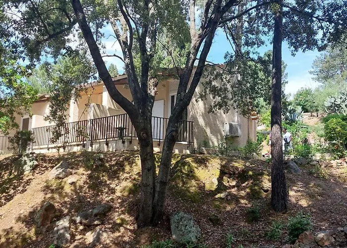 Hotel Domaine De L'oriu