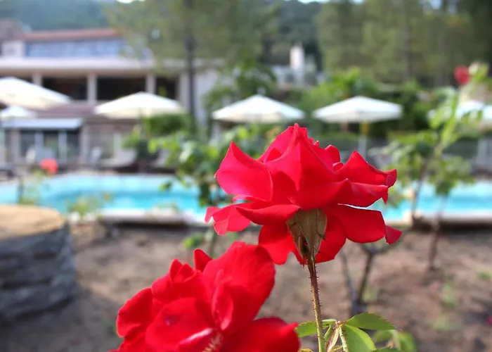 Hotel Domaine De L'oriu